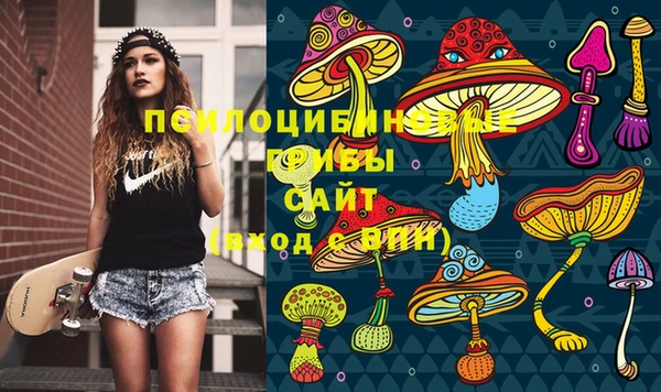 шишки Алексин