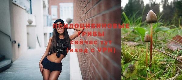 не бодяженный Аркадак